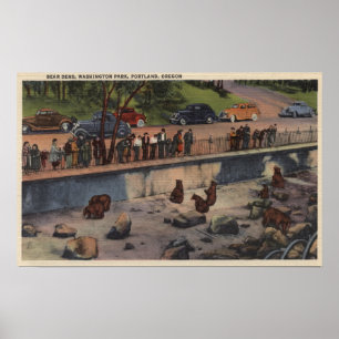 Portland, ORBear Dens in Washington Park Poster