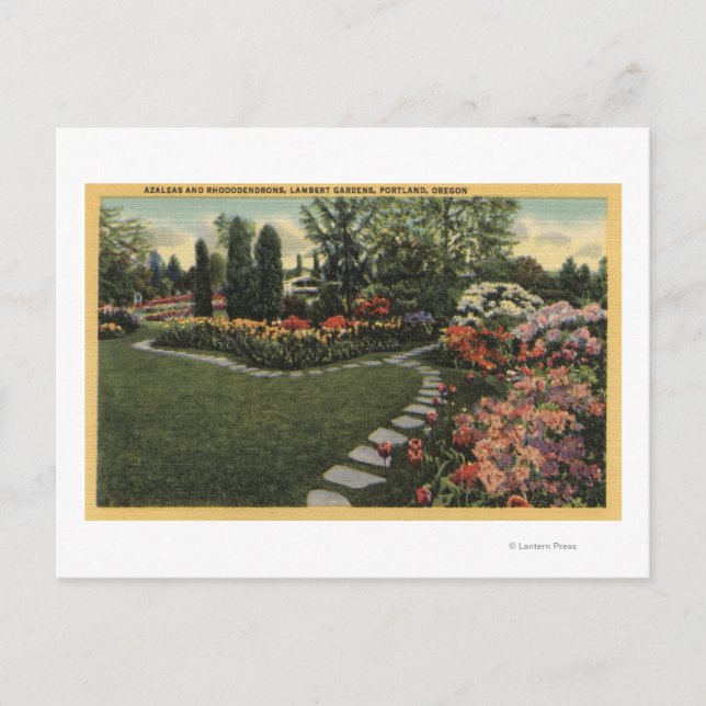 Portland, Oregon - Azaleas & Rhododendrons Postcard (Front)