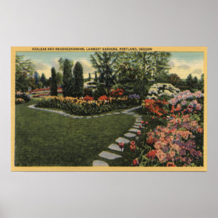 Portland, Oregon - Azaleas & Rhododendrons Poster