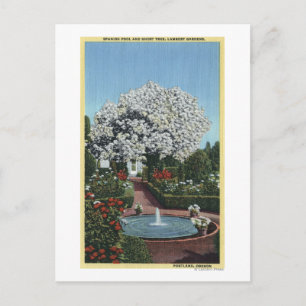 Portland, Oregon - Spanish Pool and Ghost Tree Postcard