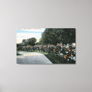 Portland, OregonView of a Rose Garden Canvas Print
