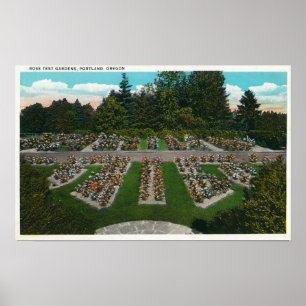 Portland, OregonView of the Rose Test Gardens Poster