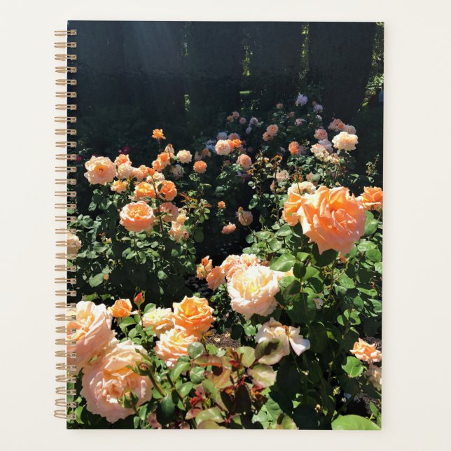 Portland Rose Garden, OR Planner (Front)