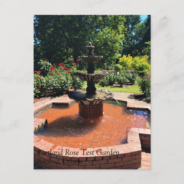 Portland Rose Garden, OR Postcard (Front)