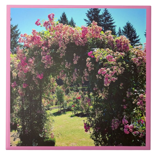 Portland Rose Garden, OR Tile (Front)