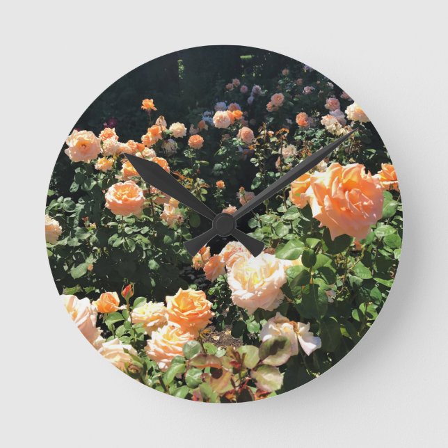 Portland Rose Garden Round Clock (Front)