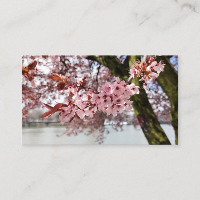 Portland's Pink Embrace: Cherry Blossom Serenity Business Card (Front)
