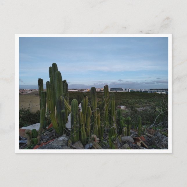 Porto Salvo (Portugal) Postcard (Front)