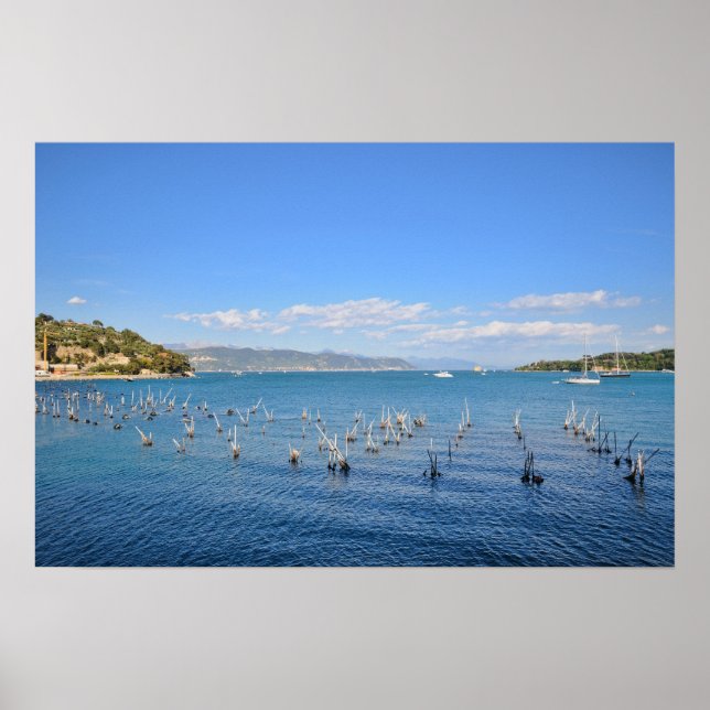 Portovenere harbour poster (Front)