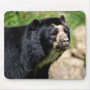 Portrait Andean bear Mouse Mat