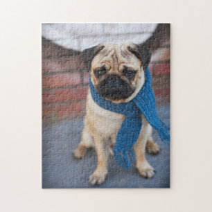 Portrait Cute Pug Dog with Blue Scarf, City Dog Jigsaw Puzzle