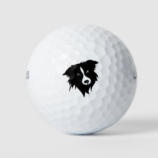Portrait funny playful black white Collie puppy Golf Balls