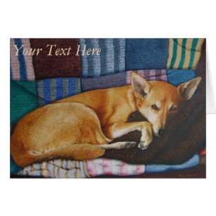 portrait german shepherd labrador mixed breed dog