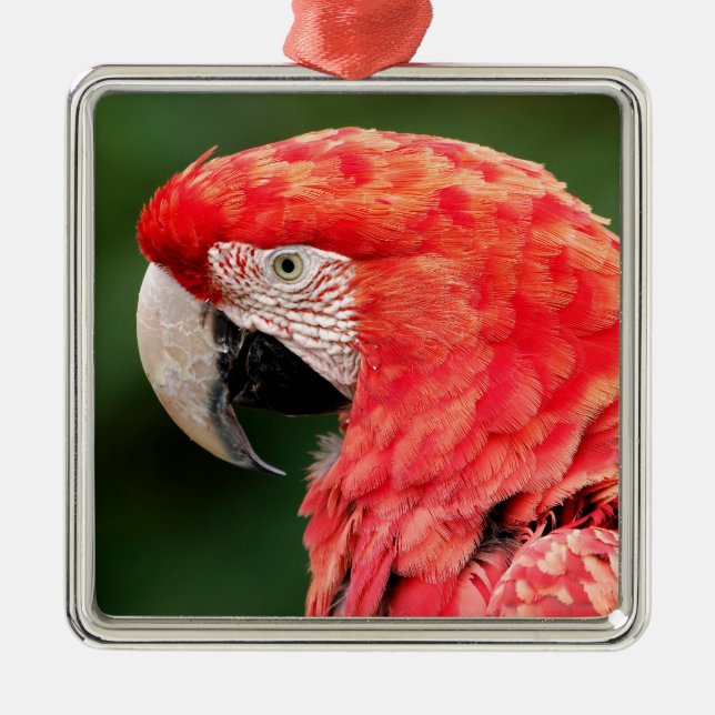Portrait green-winged macaw metal tree decoration (Front)