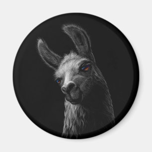 Portrait Head Cute Llama with a Black Background  Magnet