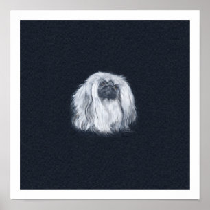 Portrait in Black Poster