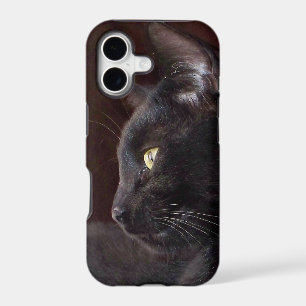 Portrait My Boy, Charlie iPhone5 Barely There Case