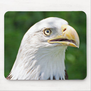 Portrait of a Bald Eagle Mouse Mat
