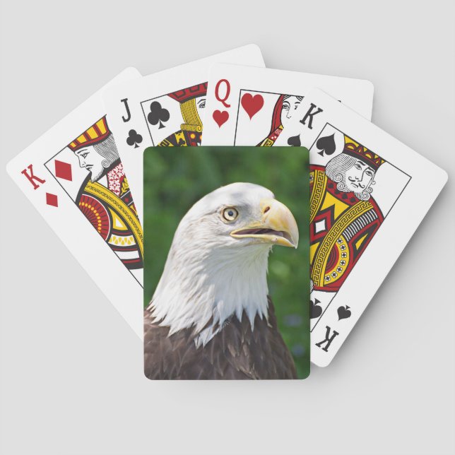 Portrait of a Bald Eagle Playing Cards (Back)