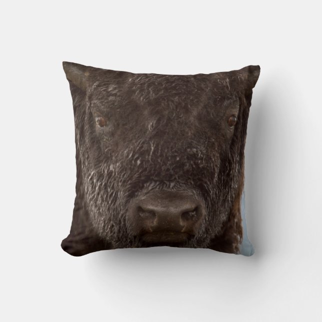 Portrait Of A Bison Bull In The Rain Cushion (Front)