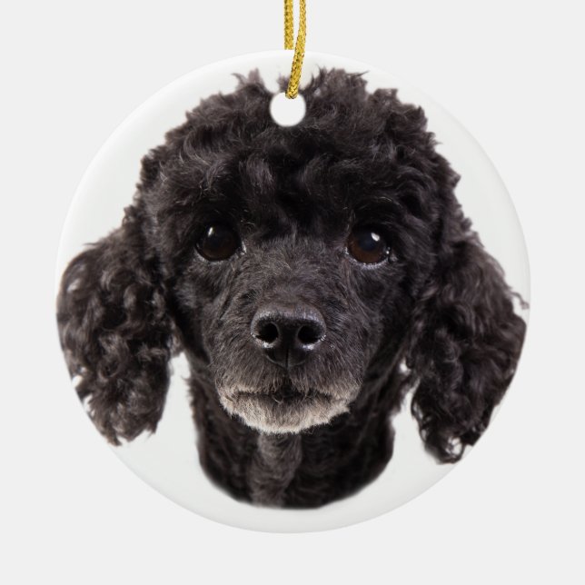 Portrait of a black poodle ceramic tree decoration (Front)