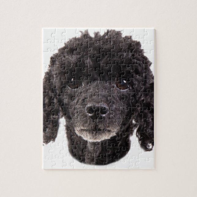 Portrait of a black poodle jigsaw puzzle (Vertical)