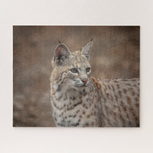 Portrait of a Bobcat Jigsaw Puzzle