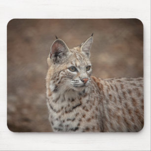 Portrait of a Bobcat Mouse Mat