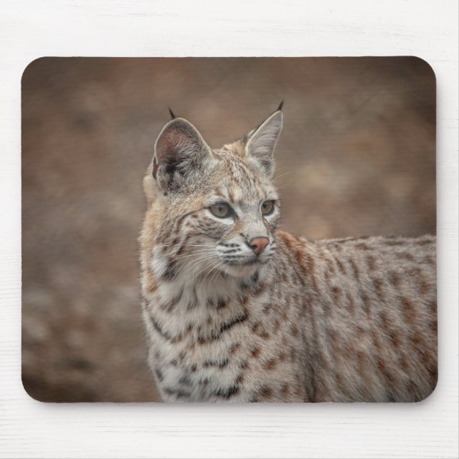 Portrait of a Bobcat Mouse Mat (Front)