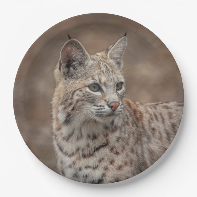Portrait of a Bobcat Paper Plate (Front)