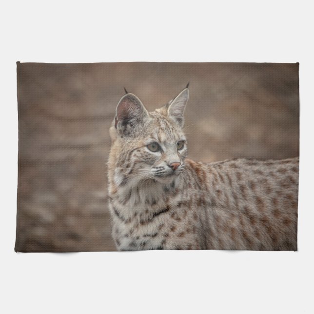 Portrait of a Bobcat Tea Towel (Horizontal)