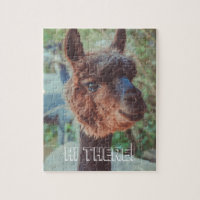 Portrait of a brown alpaca