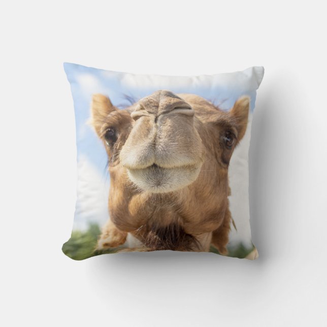 Portrait of a Camel Cushion (Front)