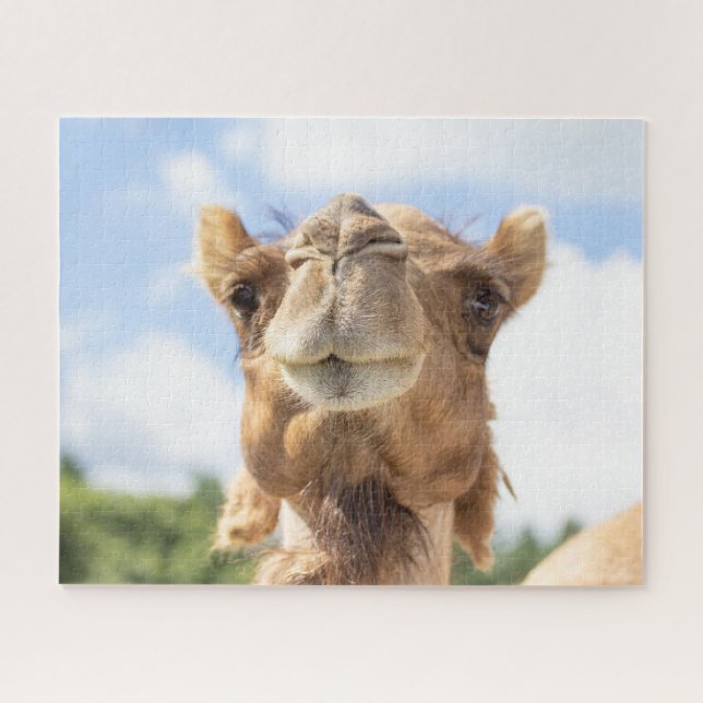 Portrait of a Camel Jigsaw Puzzle (Horizontal)