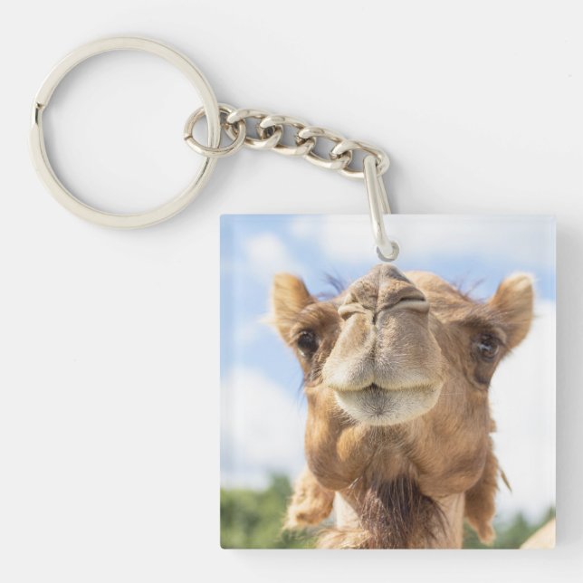 Portrait of a Camel Key Ring (Front)
