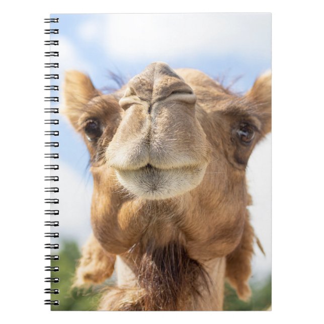 Portrait of a Camel Notebook (Front)