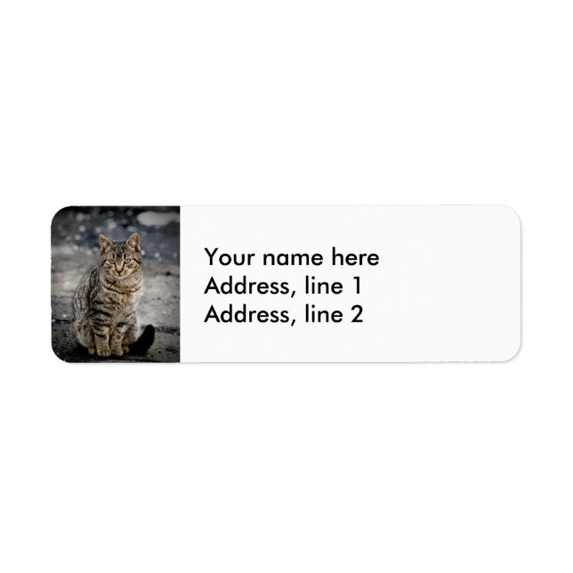 Portrait of a cat (Front)