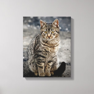 Portrait of a cat canvas print