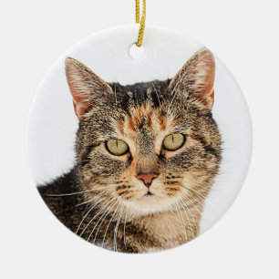 Portrait of a cat ceramic tree decoration
