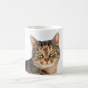 Portrait of a cat coffee mug