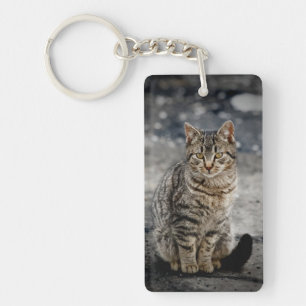 Portrait of a cat key ring