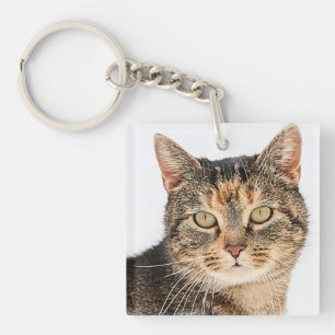 Portrait of a cat key ring