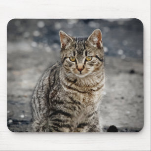 Portrait of a cat mouse mat