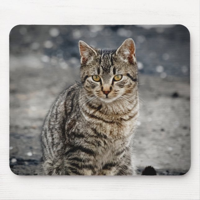 Portrait of a cat mouse mat (Front)