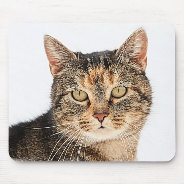 Portrait of a cat mouse mat (Front)