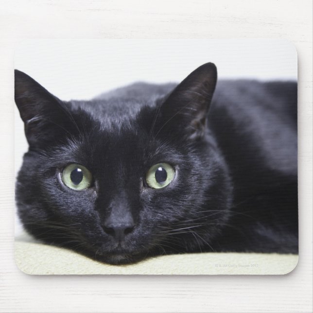 Portrait of a Cat Mouse Mat (Front)
