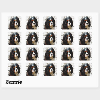 Portrait Of A Cavalier King Charles Spaniel Square Sticker