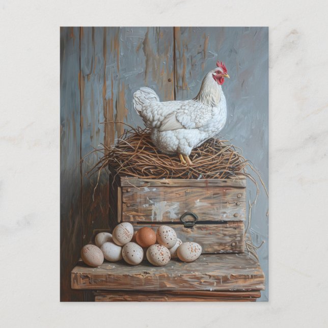 Portrait of a Chicken with Eggs Postcard (Front)