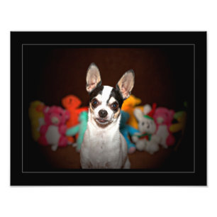 Portrait of a chihuahua photo print