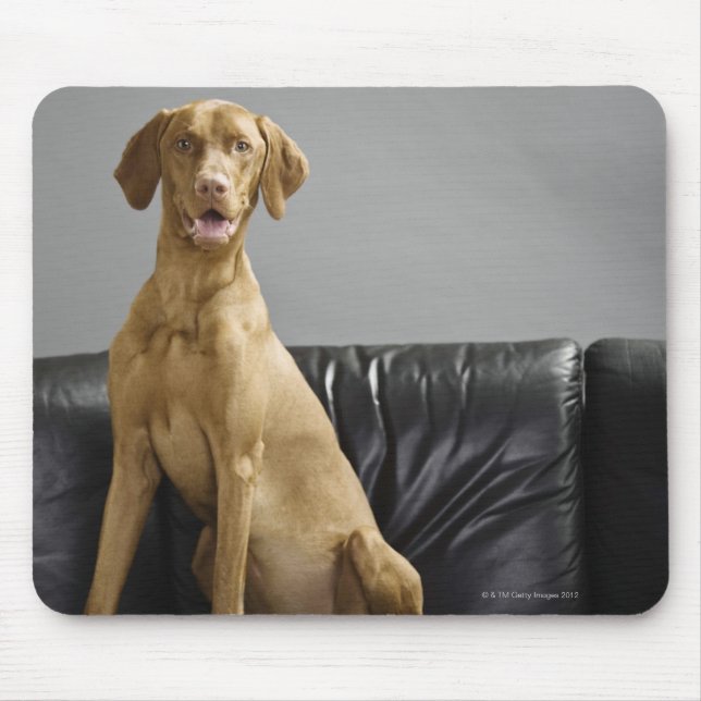 Portrait of a dog mouse mat (Front)